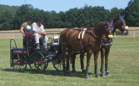 Fahrturnier 2007