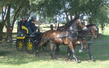 Fahrturnier 2007