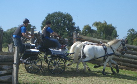 Fahrturnier 2007