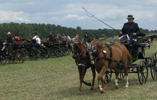 Fahrturnier 2008