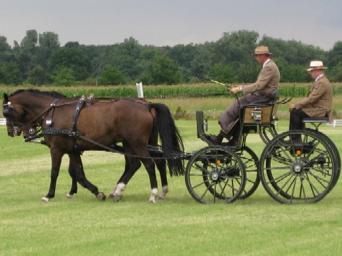 Fahrturnier 2008