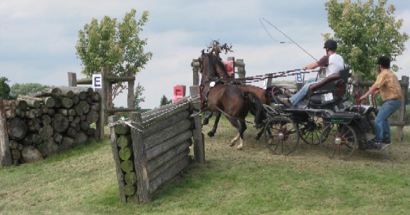 Fahrturnier 2008